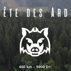 La Conquête des Ardennes